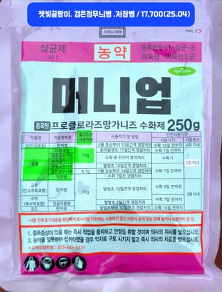 kia1588님의 귤 · 영농일지 작성글 사진