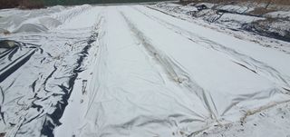 박상중님의 기타작물 · 영농일지 작성글 사진