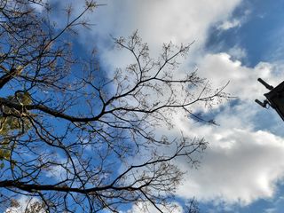 k5688님의 기타작물 · 영농일지 작성글 사진