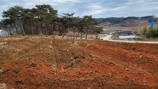 양석원님의 두릅 · 영농일지 작성글 사진