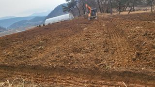 양석원님의 두릅 · 영농일지 작성글 사진