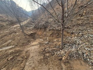 엉뚱님의 기타작물 · 영농일지 작성글 사진