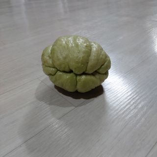 가로수님의 기타작물 · 영농일지 작성글 사진