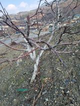 김용대님의 작성글 사진