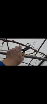 팜모닝 포도·영농일지 게시글 이미지