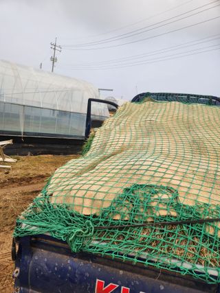 김저팔계님의 파 · 영농일지 작성글 사진