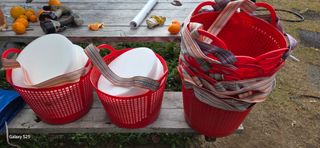 kia1588님의 귤 · 영농일지 작성글 사진