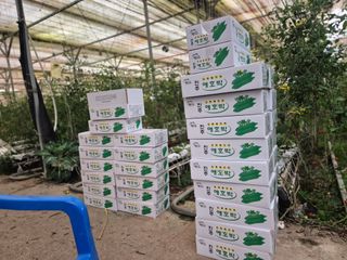 늘햇살팜 님의 기타작물 · 영농일지 작성글 사진