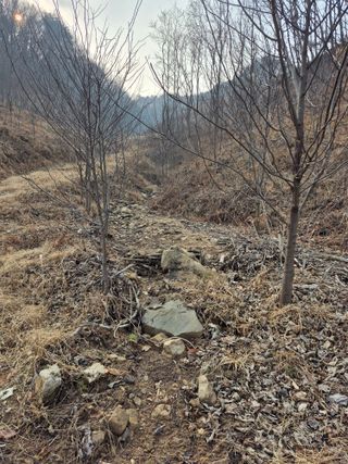 엉뚱님의 기타작물 · 영농일지 작성글 사진