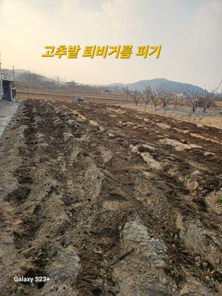 규사미님의 기타작물 · 영농일지 작성글 사진