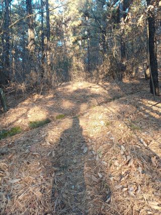 전원수님의 기타작물 · 영농일지 작성글 사진