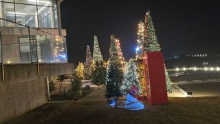 백보승님의 기타작물 · 영농일지 작성글 사진