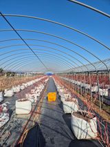 박영희님의 작성글 사진