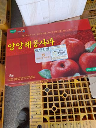 김철우님의 기타작물 · 영농일지 작성글 사진