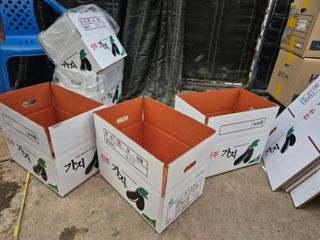 늘햇살팜 님의 기타작물 · 영농일지 작성글 사진