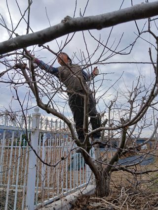 최남옥님의 기타작물 · 영농일지 작성글 사진