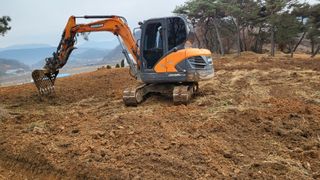 양석원님의 두릅 · 영농일지 작성글 사진