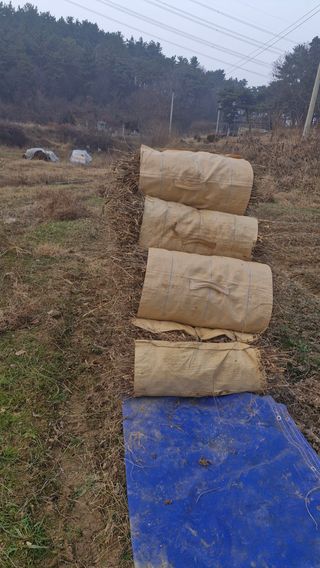 이철수님의 기타작물 · 영농일지 작성글 사진