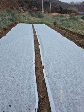 김두원님의 기타작물 · 영농일지 작성글 사진