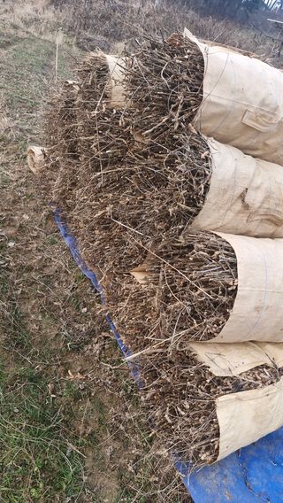 이철수님의 기타작물 · 영농일지 작성글 사진