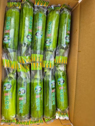 늘햇살팜 님의 기타작물 · 영농일지 작성글 사진