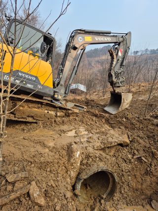 엉뚱님의 기타작물 · 영농일지 작성글 사진