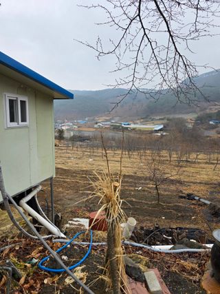 행운아님의 고추 · 영농일지 작성글 사진