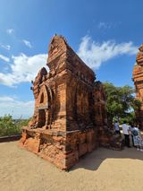 팜모닝 기타작물·영농일지 게시글 이미지