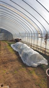 팜모닝 기타작물·영농일지 게시글 이미지