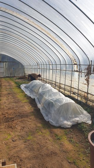 강윤원 보림팜(주)님의 기타작물 · 영농일지 작성글 사진