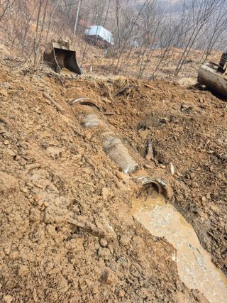 엉뚱님의 기타작물 · 영농일지 작성글 사진