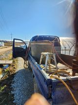 김저팔계님의 작성글 사진