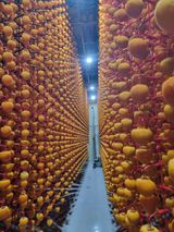 팜모닝 기타작물·영농일지 게시글 이미지