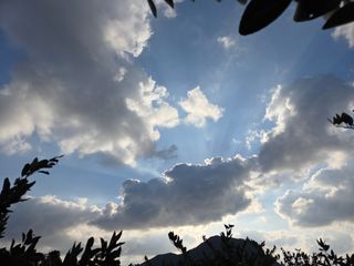 산방자연농원님의 귤 · 영농일지 작성글 사진