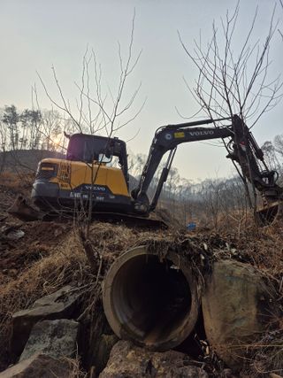 엉뚱님의 기타작물 · 영농일지 작성글 사진