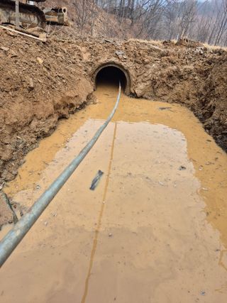 엉뚱님의 기타작물 · 영농일지 작성글 사진