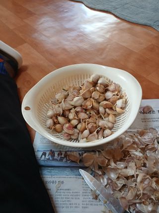 최유순님의 기타작물 · 영농일지 작성글 사진