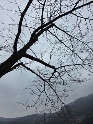 행운아님의 고추 · 영농일지 작성글 사진