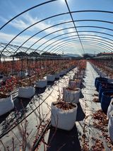 박영희님의 작성글 사진