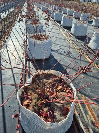 박영희님의 작성글 사진