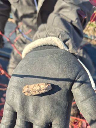 박영희님의 블루베리 · 영농일지 작성글 사진