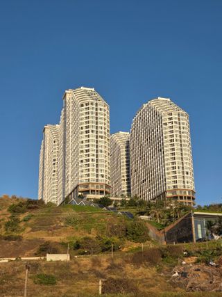 최동수님의 기타작물 · 영농일지 작성글 사진