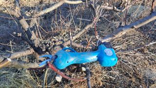 월굴리이승재님의 기타작물 · 영농일지 작성글 사진