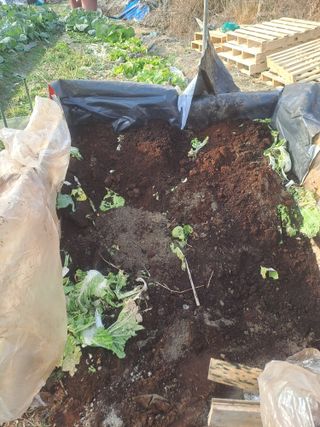 검은눈동자님의 기타작물 · 영농일지 작성글 사진