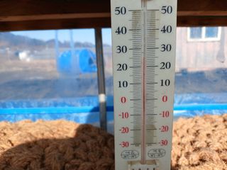 김홍중님의 두릅 · 영농일지 작성글 사진