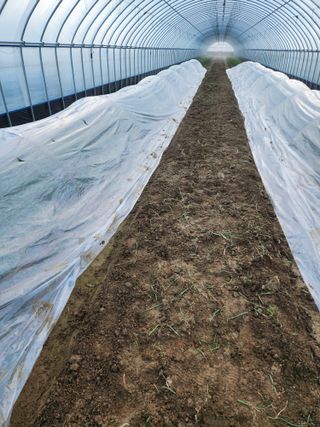 김저팔계님의 파 · 영농일지 작성글 사진