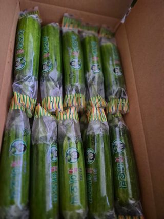 늘햇살팜 님의 기타작물 · 영농일지 작성글 사진