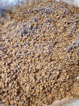 팜모닝 기타작물·영농일지 게시글 이미지