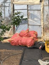 님의 작성글 사진