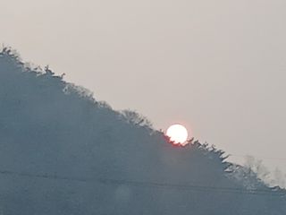 김홍중님의 두릅 · 영농일지 작성글 사진